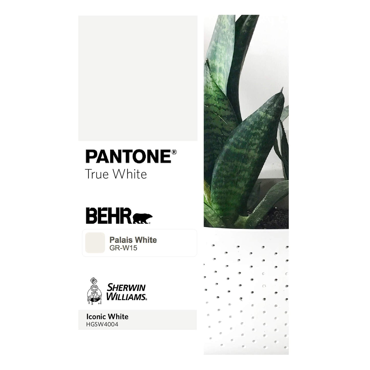 Wally Eco White Wall Planter - Trofolia