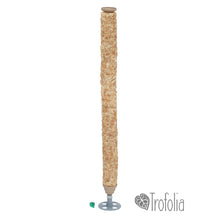 Load image into Gallery viewer, Trofolia Straight-Up Robust Moss Poles