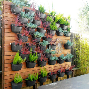 Wally Eco Charcoal Wall Planter - Trofolia