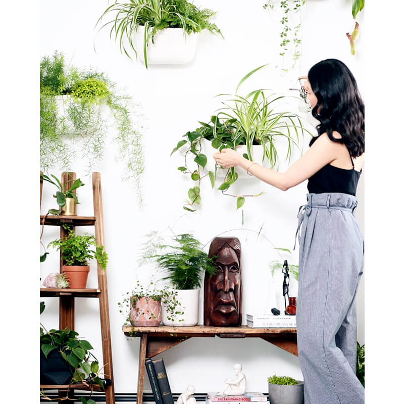 Wally Eco White Wall Planter - Trofolia