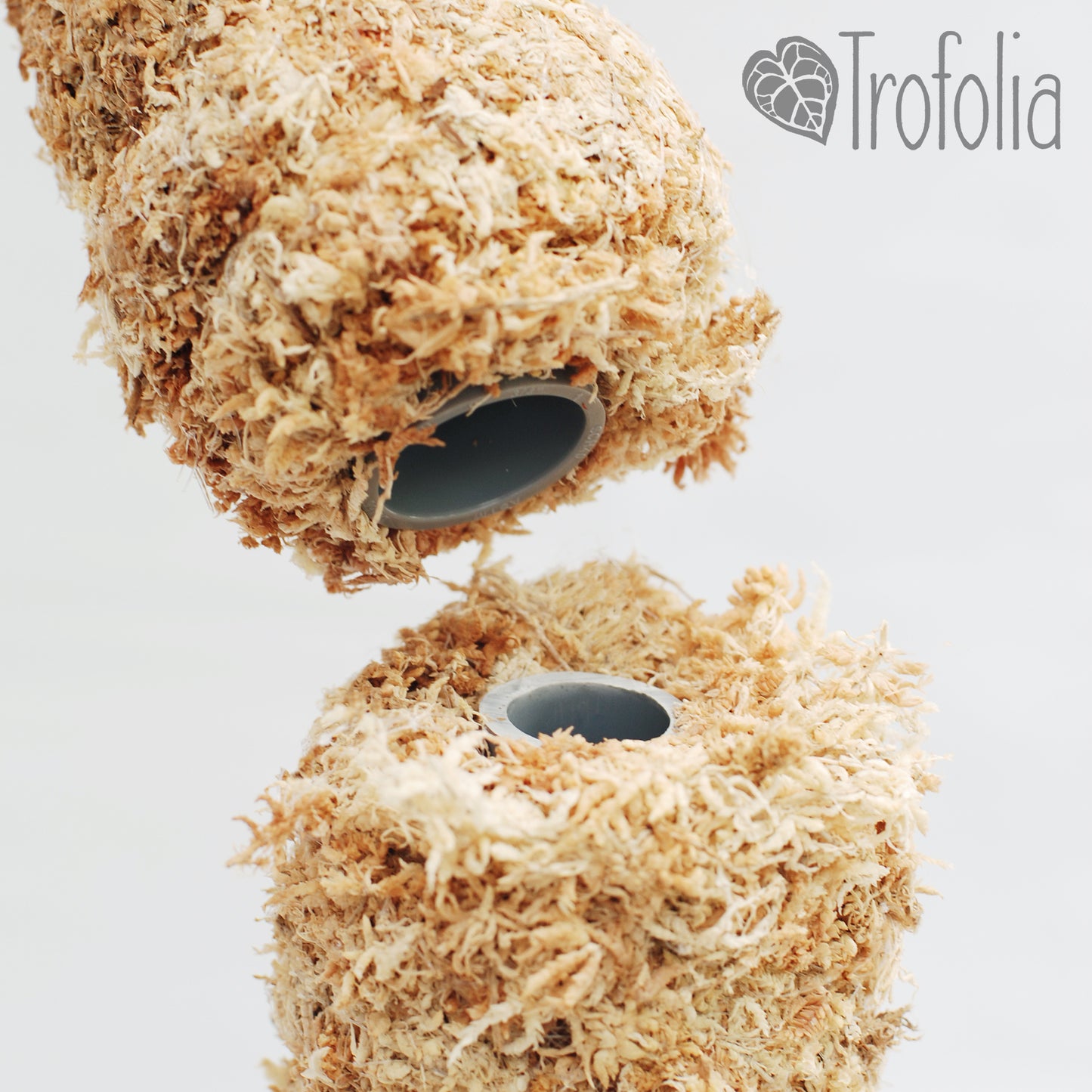 Trofolia Straight-Up Robust Moss Pole Extension