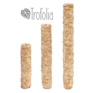 Trofolia Straight-Up Robust Moss Pole Extensions