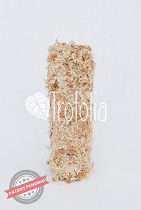 Trofolia Straight-Up DAINTY Moss Pole* Collection - Easy Watering - Extendable - Anti-Lean Base - Trofolia