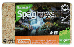 New Zealand Premium Sphagnum Moss 100g - Trofolia